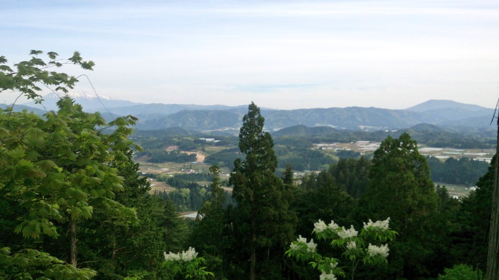 senkoji