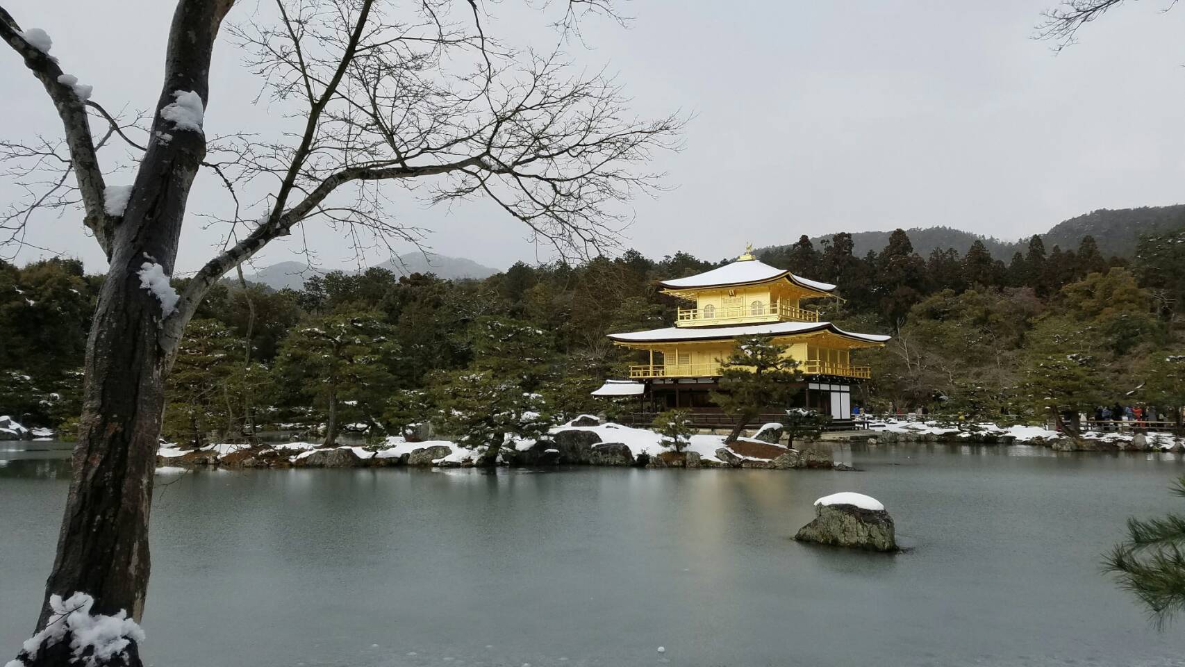 kinkaku
