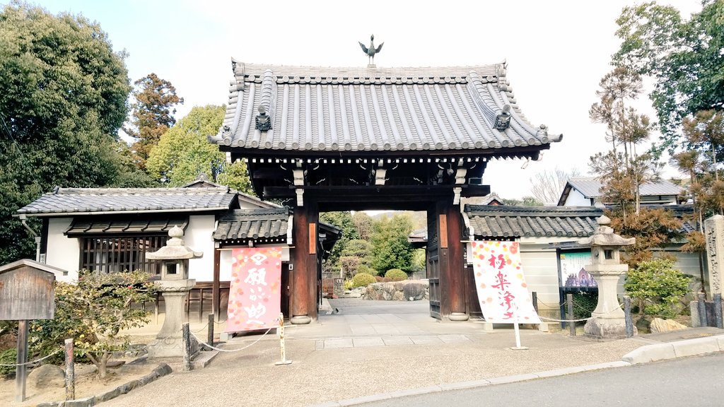 sokujo